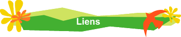 Liens