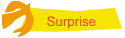 Surprise