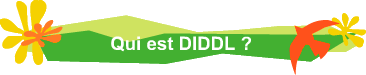 Qui est DIDDL ?