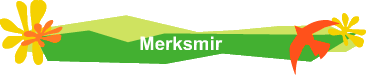 Merksmir
