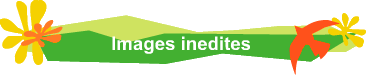 Images inedites